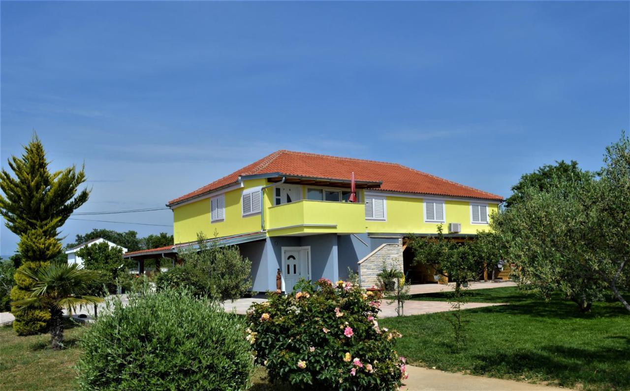 Luka Biograd -