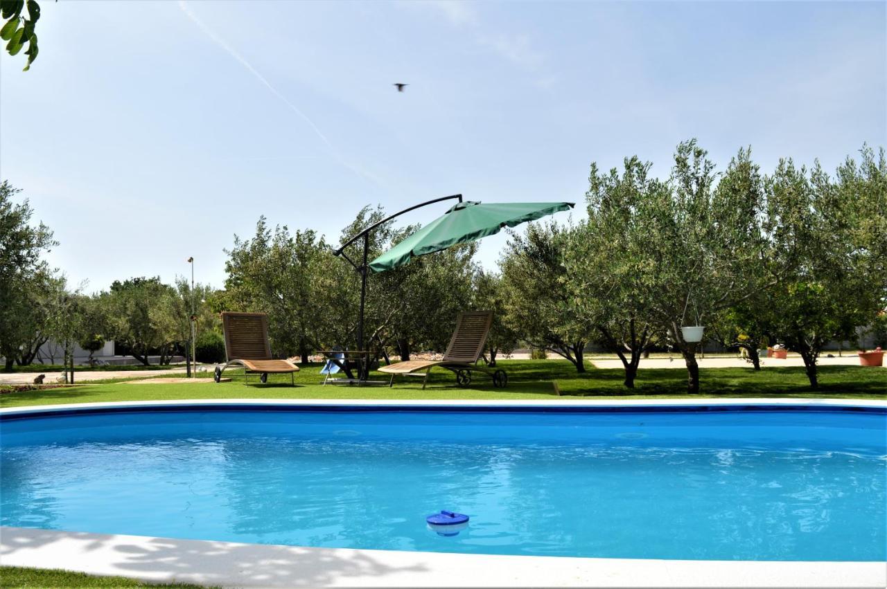 Luka Biograd - Appartement Benkovac